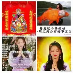 连杨超越都用上了lp我老板却穷得连lm都用不起了秋燥篇