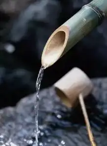 喜爱禅茶生活的人都爱它,但你知道它叫什么吗