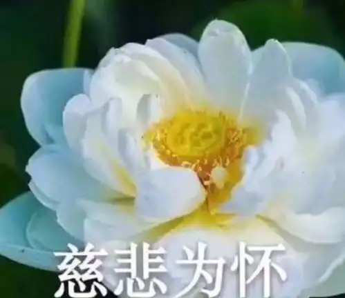 幽默搞笑段子集当你看到没自己好看的女孩子有个帅气男朋友