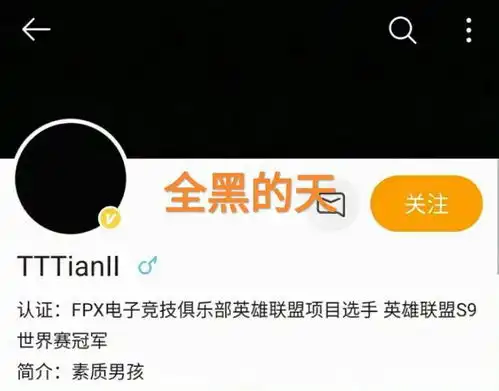这次天真的黑了,fpx小天换全黑背景头像,删除s9夺冠的消息