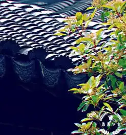 在鹤壁,赏古典园林之美