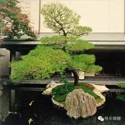 走近日本国宝级造园大师枡野俊明的禅意庭院