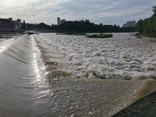 奇闻异事变形的母爱