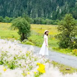 2019鲁朗花海牧场门票,林芝鲁朗花海牧场游玩攻略,鲁朗花海牧场游览攻略路线地址门票价格