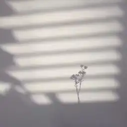 孤独的身影,曾经有过你那个娃禁止哭