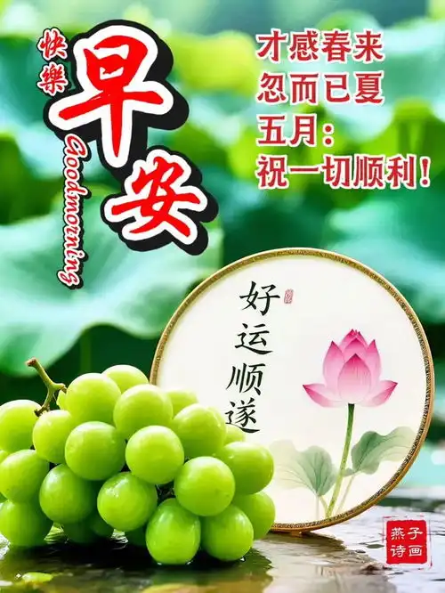 激励人心的励志正能量句子,句句价值千金,让你斗志昂扬努力奋斗