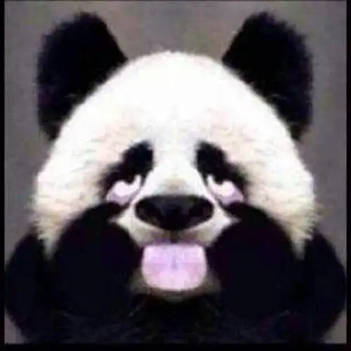 这些年林更新用过的微博头像