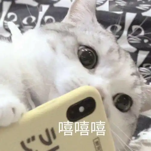 新功能一键制作新年头像还能在微信旁边加福字
