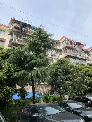 大华一村华灵路510弄优点不足,大华一村华灵路510弄怎么样,大华一村华灵路510弄周边房产中介经纪人评价