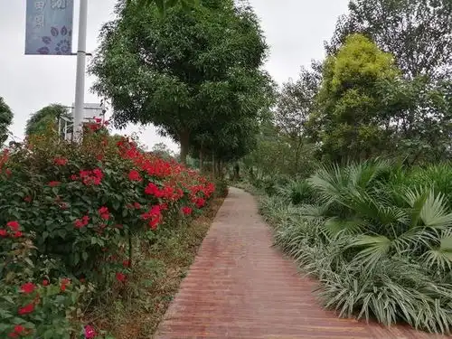 冬游好去处,南宁美丽南方绿意盎然