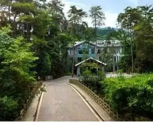 成都上流圈层的红珠山情节,金庸情有独钟的原始森林里究竟有什么