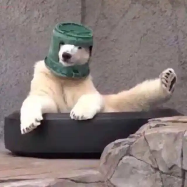 搞怪单人头像