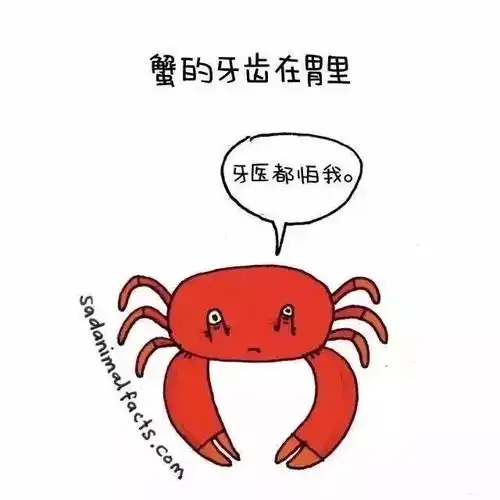 呆萌动物冷知识,知道5个以上算你厉害