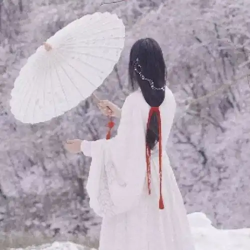 测试一个超长简介的文章