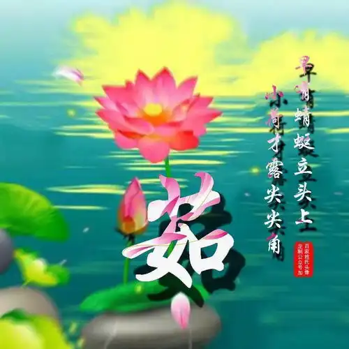 中老年头像大全漂亮荷花,子道千年情,爱满百年好