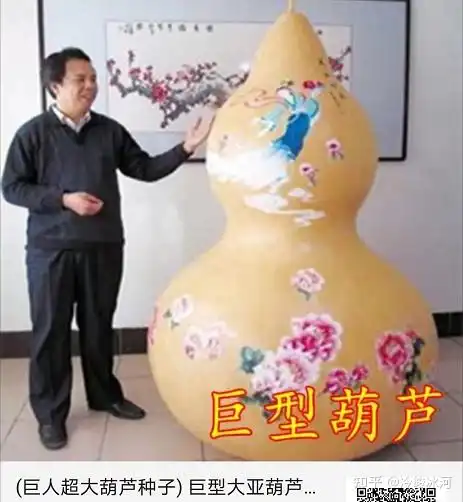 我在pdd看到了奇幻的植物世界