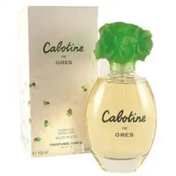calotine歌宝婷的calotine歌宝婷