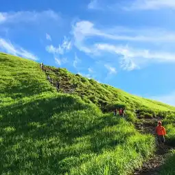 高山草甸行走武功山