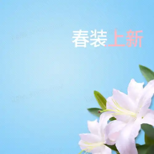 百合花背景图片下载免费高清百合花背景设计素材图精灵