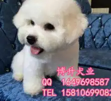 黄页88高清图片