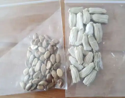 葫芦树镇宅护院寓意好,家有老人养一棵,长寿好运
