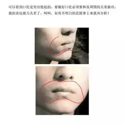 人体结构的知识,汇集于一篇教程