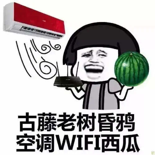 入伏,你被热到融化了吗