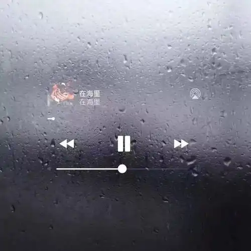 智者不入爱河