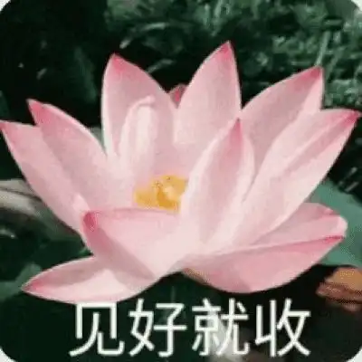 微信头像图片2020荷花带字系列荷花带字微信头像高清大全集