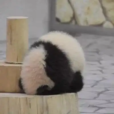 测试一个超长简介的文章