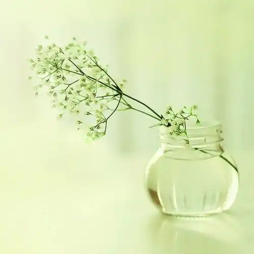 创意花艺