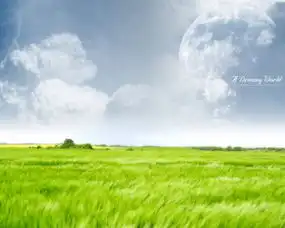 世界上有没有鬼