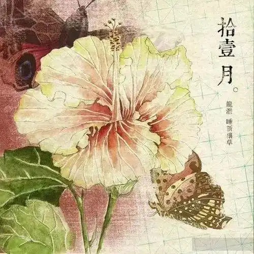 测试一个超长简介的文章
