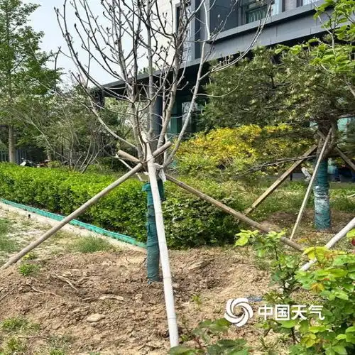 北京极端大风天气将至多部门全力做好防范应对举措