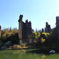 石林奇观qq头像图片