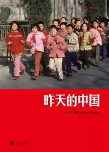 30年前,这个老外用相机记录下了80年代中国最浪漫的样子