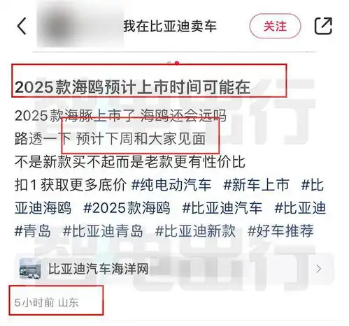 比亚迪销售2025款海鸥下周上市增360全景影像