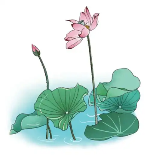 测试一个超长简介的文章