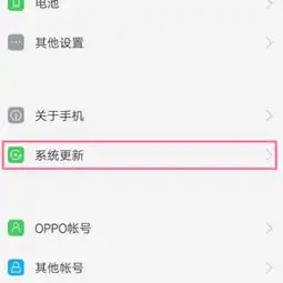 oppo手机版本更新了怎样弄回上一个版本