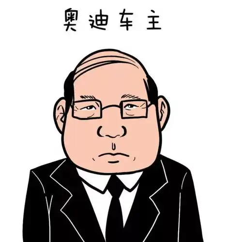各大品牌车主画像,众泰车主表不服,奥迪车主已哭晕