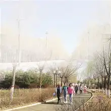 在家门口尽享春色