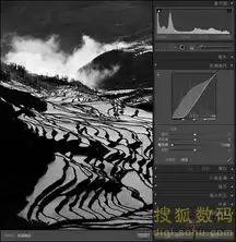 巧用lightroom色调曲线变废为宝
