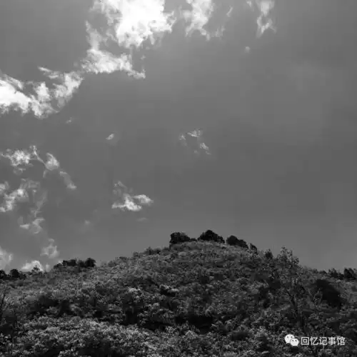 爱和欣赏让我们和别人不同