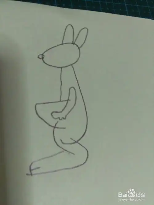 简笔画袋鼠