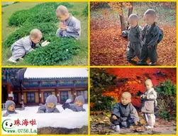 宝光寺的小和尚