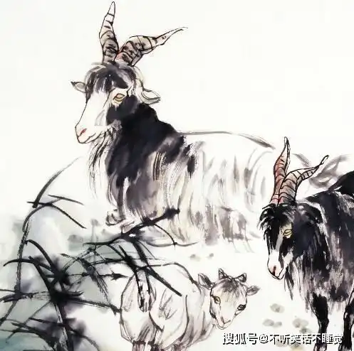 这2个生肖结为夫妻,面和心合,感情好,家财大,幸福长爱情
