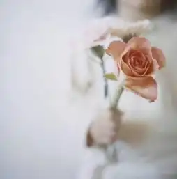 用户对1438035的评价mtime时光网