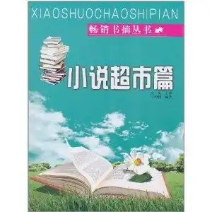 畅销书摘丛书小说超市篇