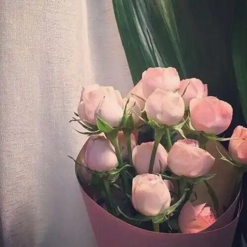 积极努力的三个生肖,为人知书达理,不会过于小肚鸡肠