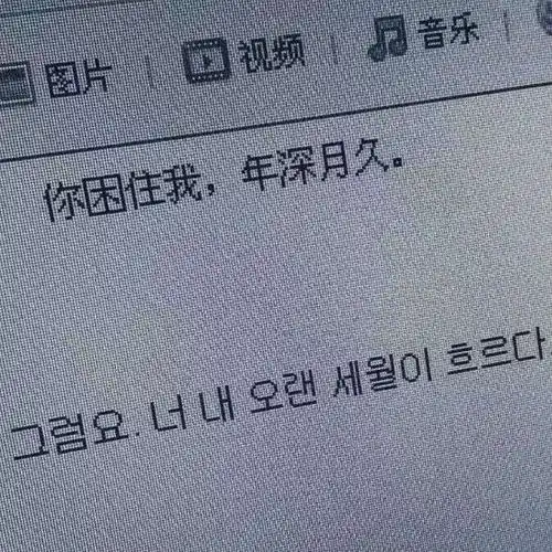 我来放图了不知道是什么标签
